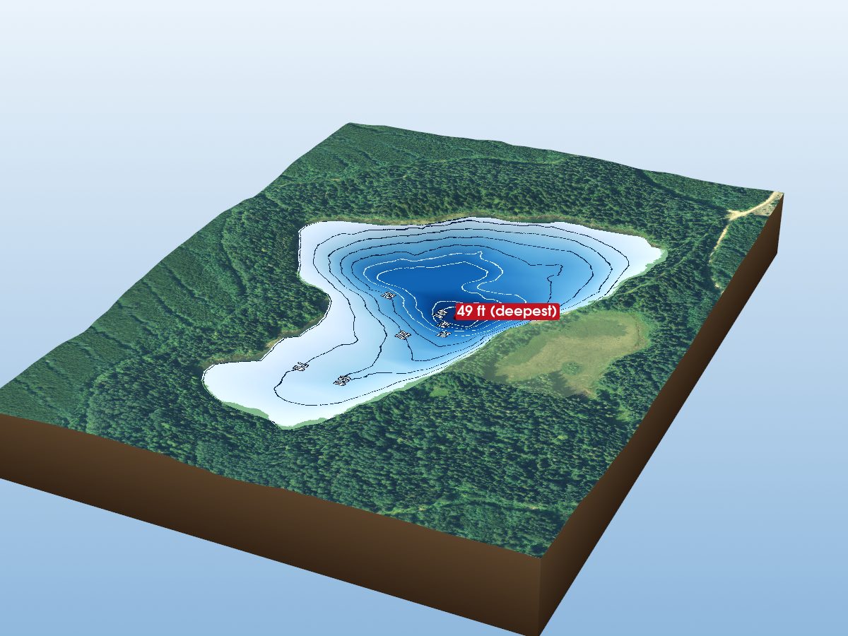 Depth map of Whigham Lake 41