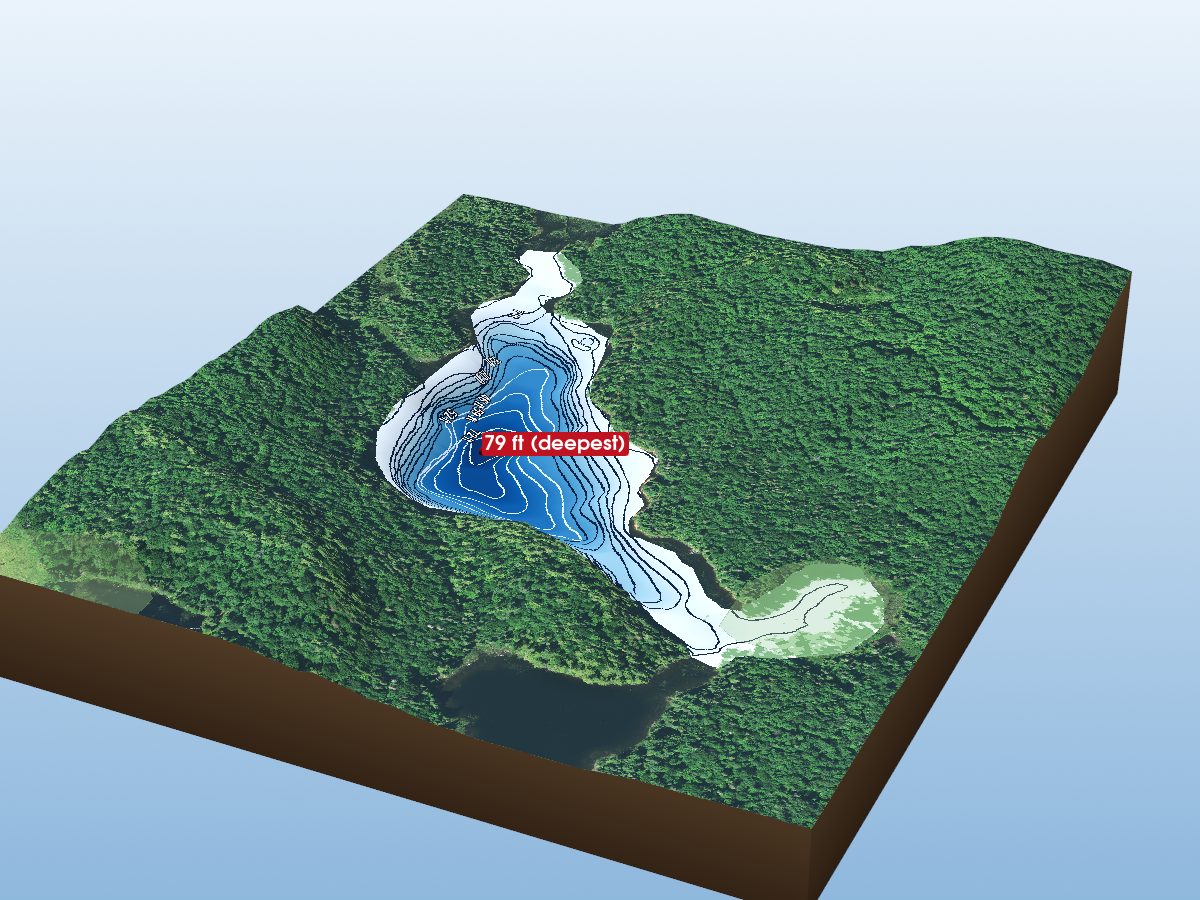 Depth map of Whitespruce Lake