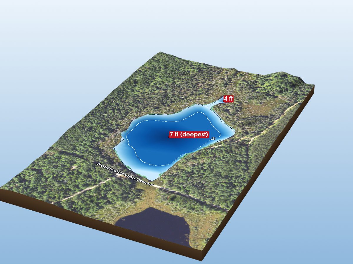 Depth map of Whitmarsh Lake