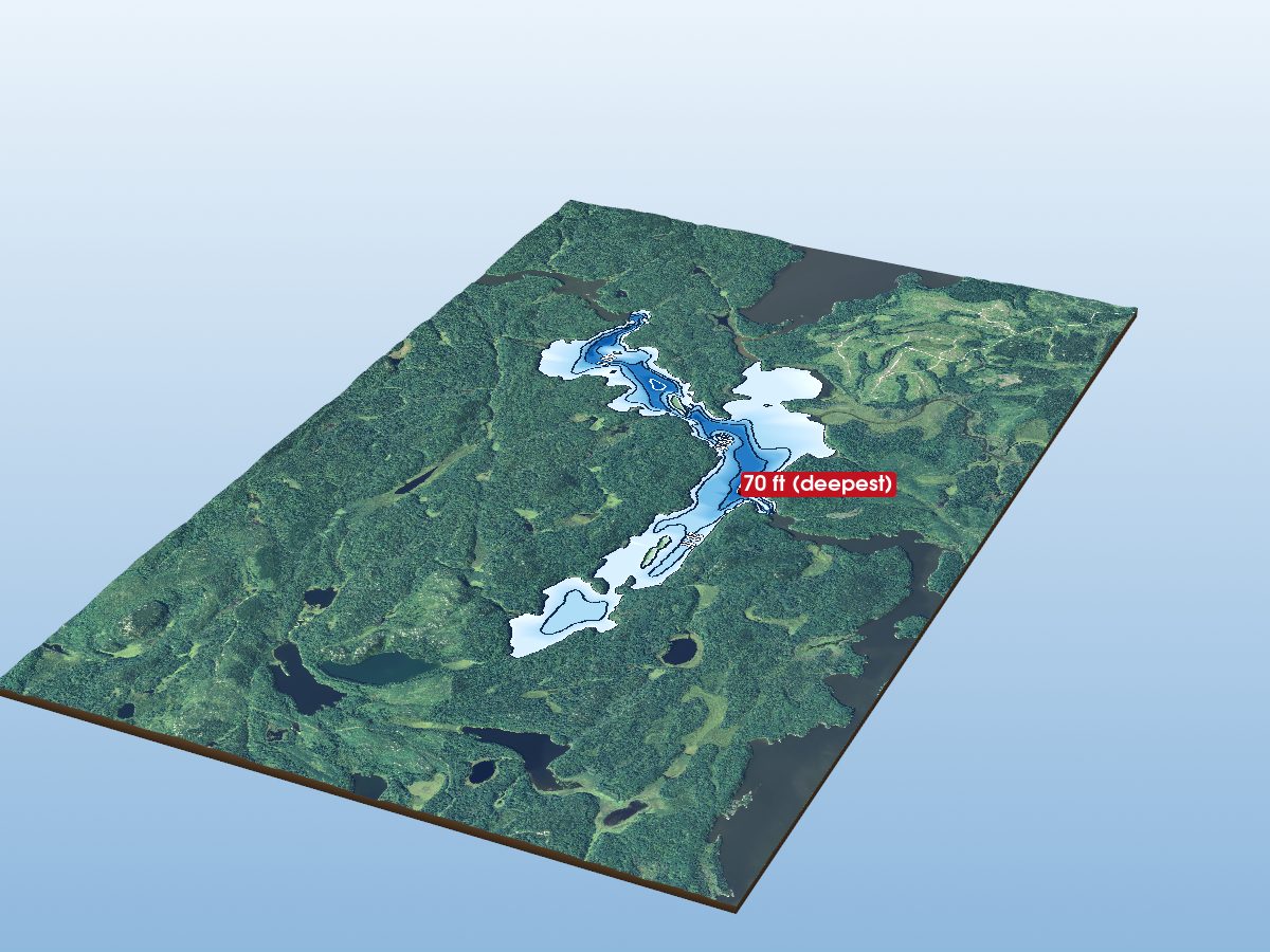 Depth map of Wilcox Lake
