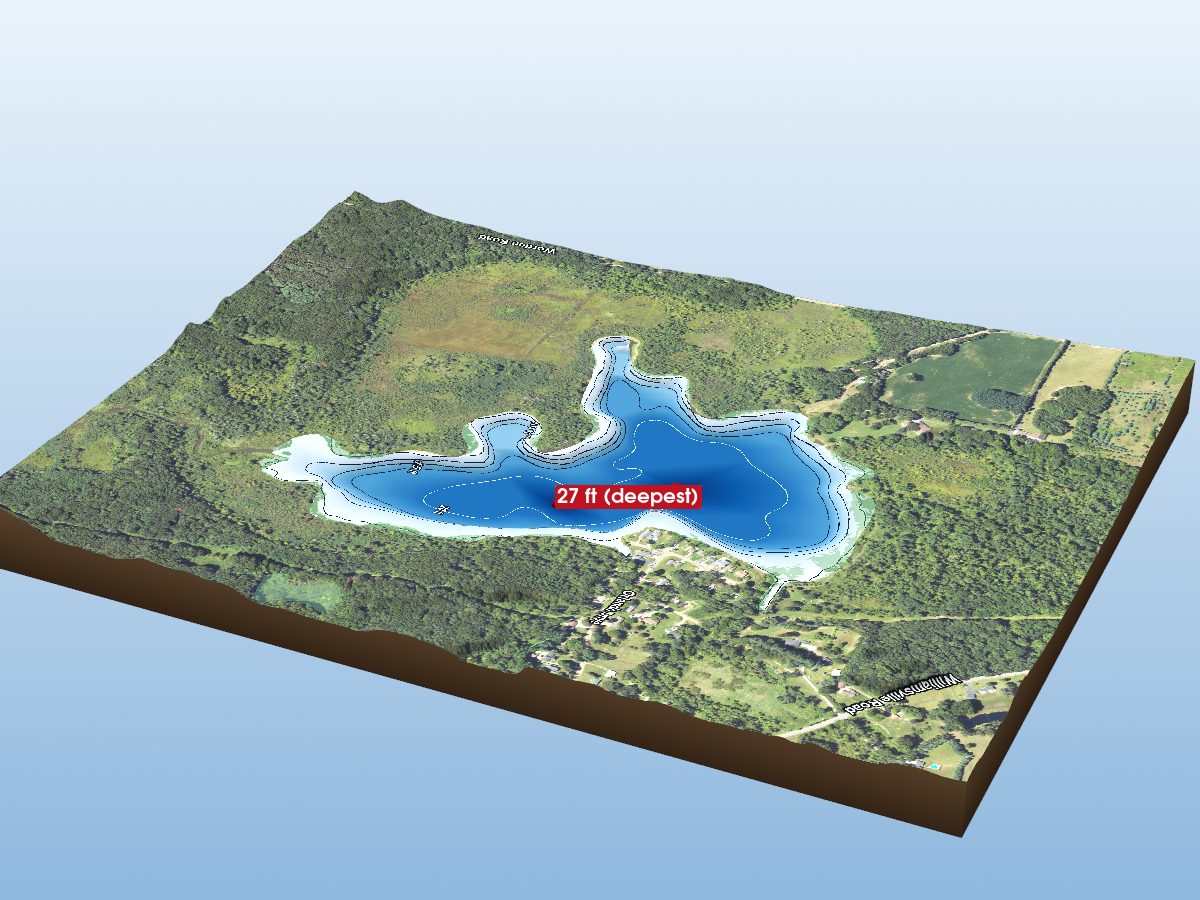 Depth map of Williamsville Lake