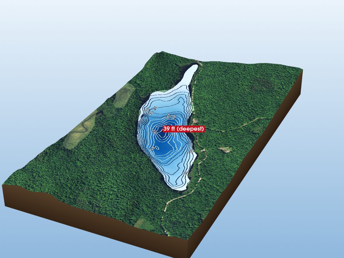 Depth map of Wolf L.