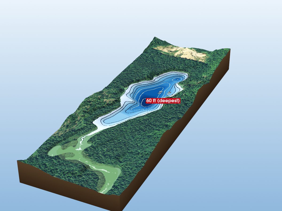 Depth map of Wolf Lake