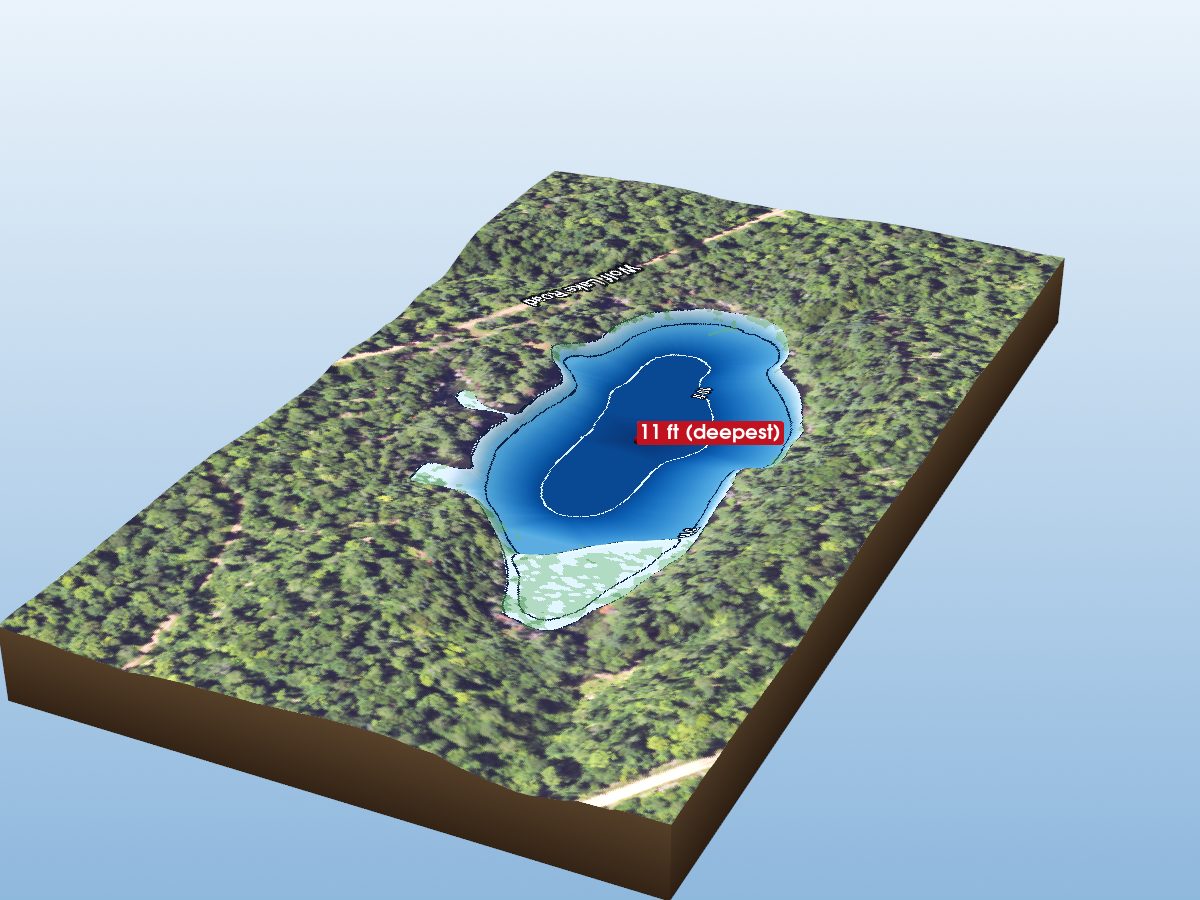 Depth map of Wolf Lake