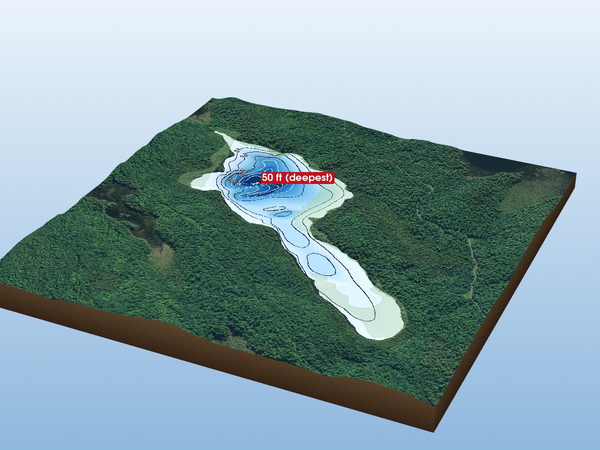 Depth map of Wolfe Lake