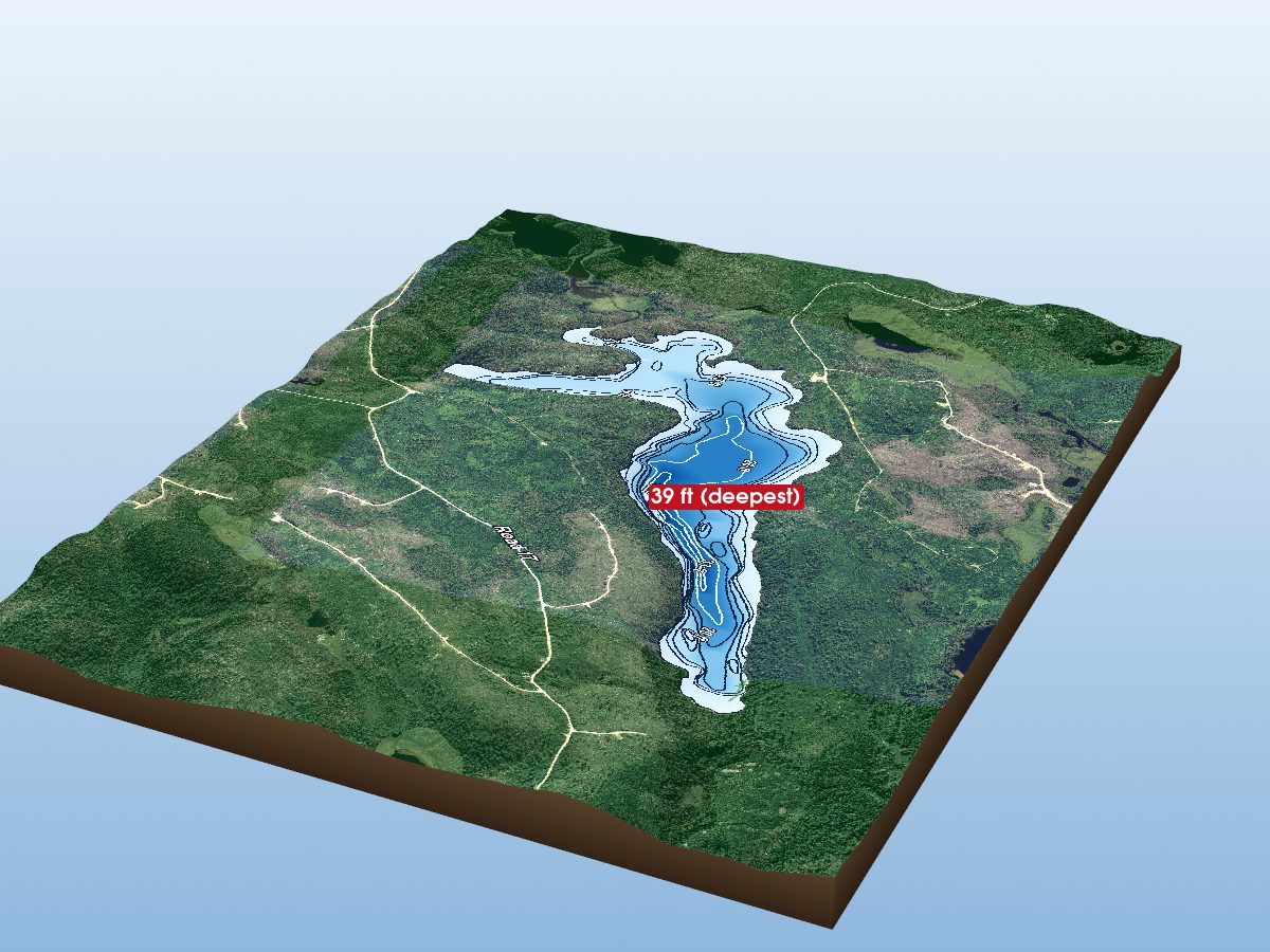 Depth map of Woodosgoon Lake